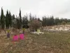 Grand terrain de la vente de notre maison d'hôte - gîte à vendre avec piscine à Perpignan (24).webp